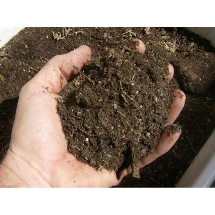 

Terlaris Pupuk Kandang Organik Dari Kotoran Domba Kambing 50 Gram