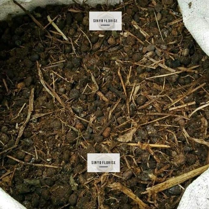 

Terlaris Pupuk Kandang Organik 1 Kg