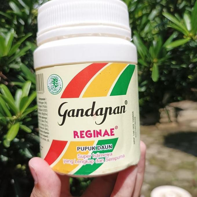 

Terlaris Gandapan Reginae Pupuk Npk Lengkap Merangsang Pembungaan