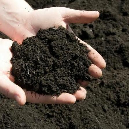 

Terlaris Pupuk Kandang Organik Tai Kambing Halus Murni 1Kg