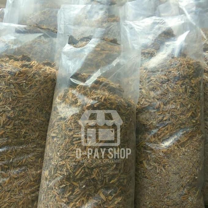 

Terlaris Pupuk Kandang