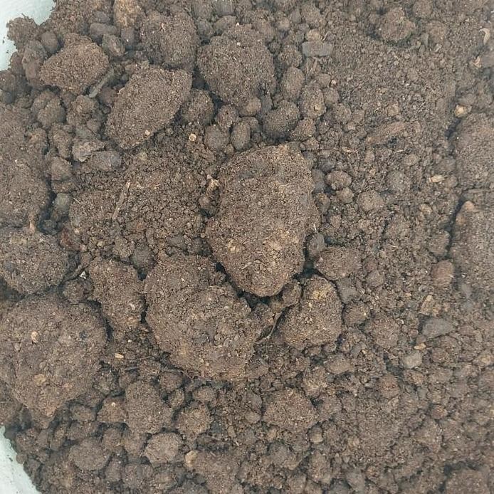 

Terlaris 1Kg Kohe Kambing Pupuk Kandang Siap Pakai Terlaris 100% Original