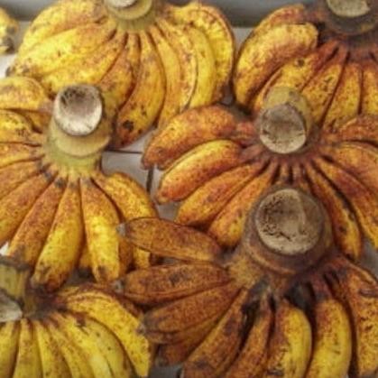

Terlaris Bibit Tanaman Buah Pisang Raja Sereh Pohon Pisang Raja Serehb Azz
