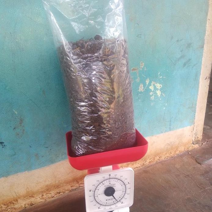 

Terlaris Pupuk Kandang Kohe Kambing