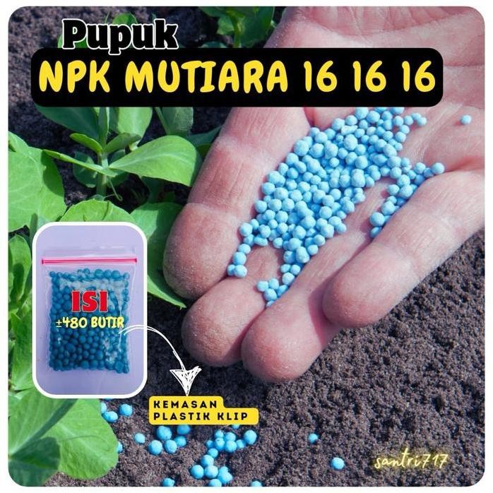 

Terlaris 480 Butir - Pupuk Npk Mutiara 16 16 16 Pupuk Mengandung Nitrogen Fosfor Dan Kalium