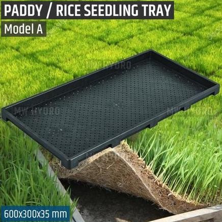

Terlaris Seedling Tray Pot Alas Tatakan Tempat Semai Benih Bibit Tanaman Padi