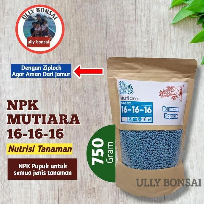 

Terlaris Pupuk Npk Mutiara 16 16 16 Meroke Kemasan 750 Gram