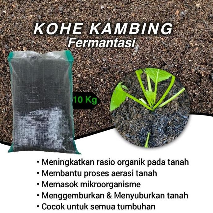 

Terlaris Pupuk Kandang Kohe Kambing Fermentasi++ Kemasan 10Kg Karung.