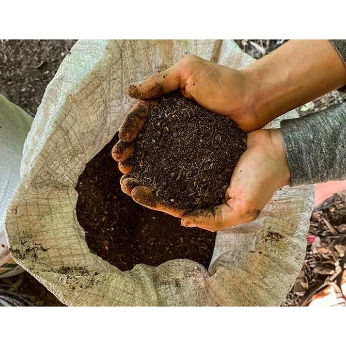 

Terlaris Pupuk Kohe Kemasan Karung/Pupuk Kandang Karungan/Kohe Murah Per Karung