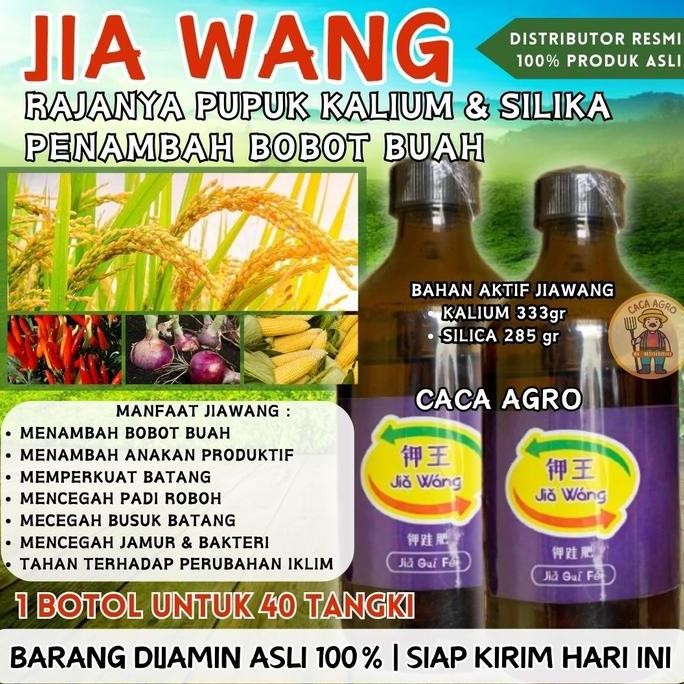 

Terlaris Jia Wang / Jiawang Rajanya Pupuk Kalium Silika Murni Untuk Menambah Bobot Buah, Tambah Anakan Padi, Atasi Padi Roboh Dan Pohon Tanaman Lebih Kuat Jamur