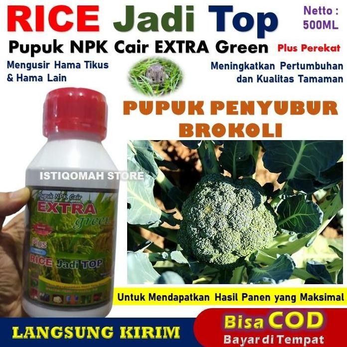 

Terlaris Cod Murah Pupuk Yang Bagus Untuk Tanaman Brokoli 500Ml Rice Jadi Top Pupuk Npk Cair Yang Cocok Buat Brokoli Subur Dan Ampuh, Pupuk Penyubur Brokoli Besar Dan Mantap Serta Menambah Daya Tahan Terhadap Hama Dan Penyakit Brokoli
