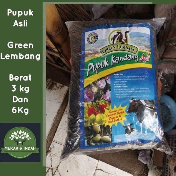 

Terlaris Pupuk Media Green Lembang / Pupuk Kandang Green Lembang