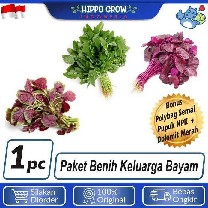 

Terlaris Paket Sayur Keluarga Bayam Bibit Tanaman Bonus Polybag Dan Npk