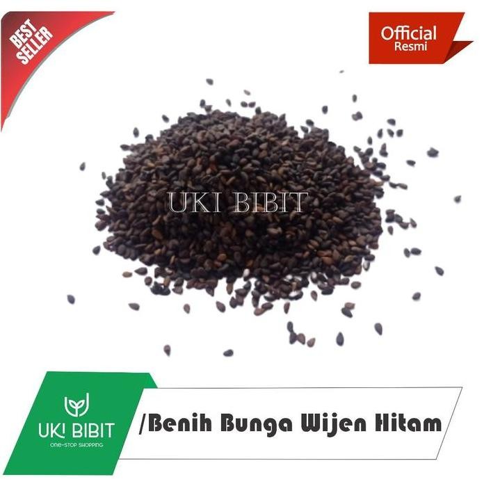 

Terlaris ( 100 Gram ) Benih Wijen Hitam