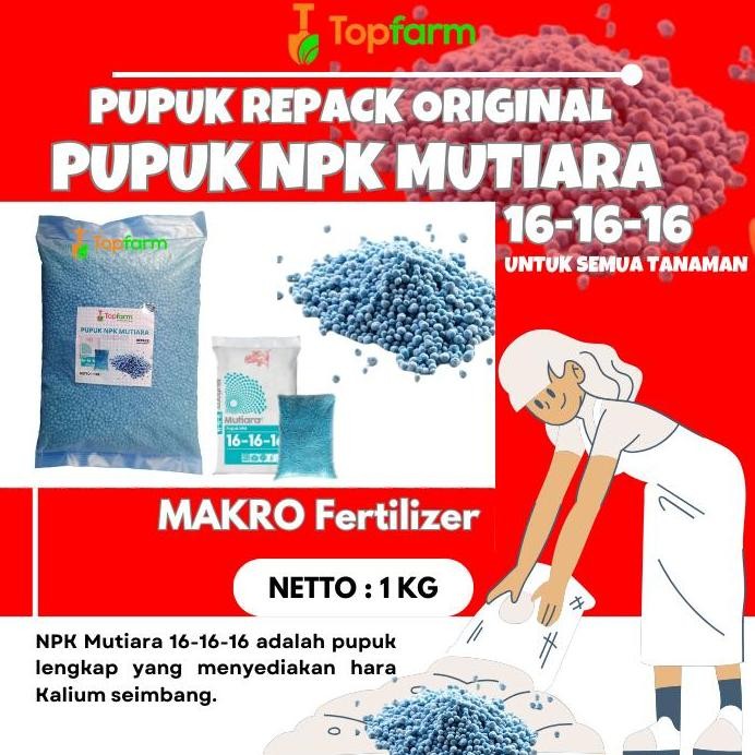 

Terlaris Pupuk Npk Mutiara 16-16-16 1 Kg / Npk Mutiara 16-16-16 Biru / Pupuk Npk Buah Dan Bunga