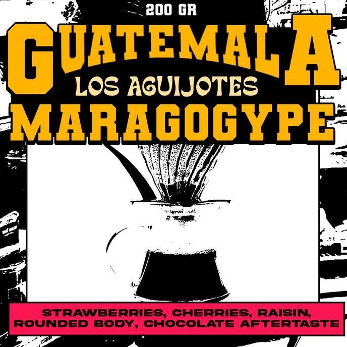

BIJI KOPI ARABIKA - GUATEMALA MARAGOGYPE LOS AGUIJOTES - 200 GR TERMURAH
