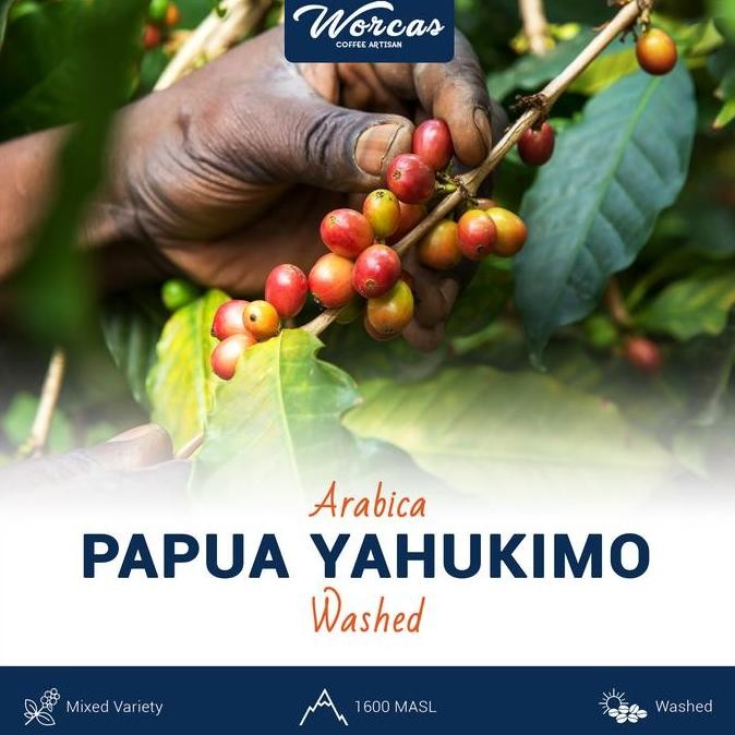 

PAPUA YAHUKIMO ARABICA GREEN BEAN 1KG (BIJI KOPI MENTAH) TERMURAH