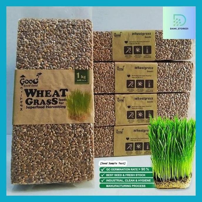 

Terlaris Dami_ Goodseed - Biji Gandum (Benih Wheatgrass) Superfood Rumput Kucing 1 Kg