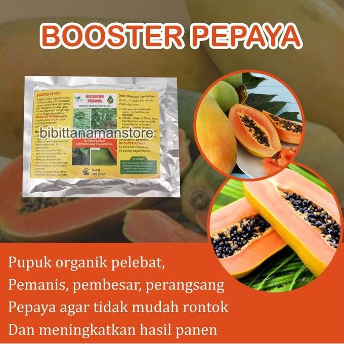 

Pupuk Organik Pelebat Buah dan Booster Pepaya Cepat Berbuah Lebat