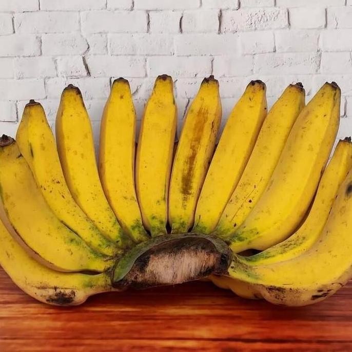 

Bibit Pisang Raja Bulu