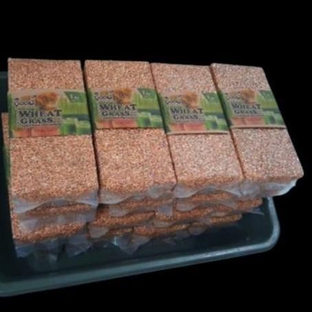 

Terlaris Ready Stock Goodseed - Biji Gandum (Benih Wheatgrass) Superfood Rumput Kucing 1 Kg Murah
