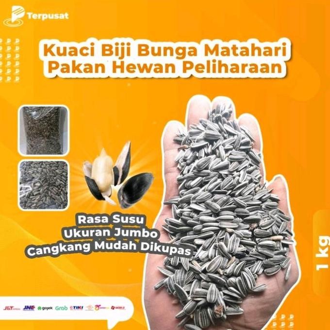

PER 1KG BIJI BUNGA MATAHARI UNTUK BURUNG DAN HAMSTER TERMURAH