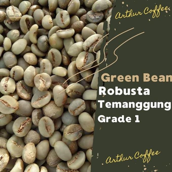 

GREEN BEAN / BIJI KOPI ROBUSTA TEMANGGUNG 1 KG - BIJI KOPI MENTAH TERMURAH