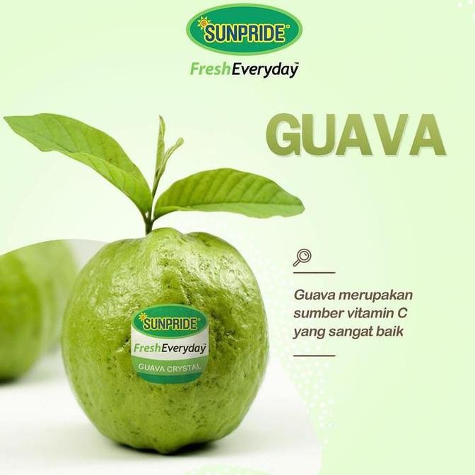 

BUAH GUAVA CRYSTAL SUNPRIDE JAMBU KLUTUK TAIWAN SEDIKIT BIJI 100GRAM TERMURAH