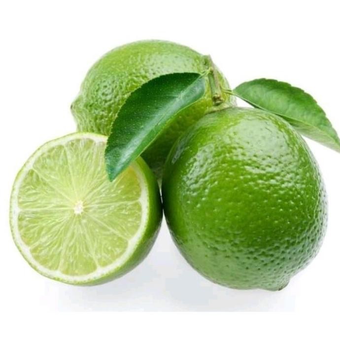 

Terlaris Dan Bibit Jeruk Nipis Bibit Tanaman Buah Buahan Bibit Klj0