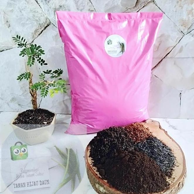 

Terlaris Paket Media Tanam Kompos Tanah Lembang Dan Pupuk Kandang Siap Pakai