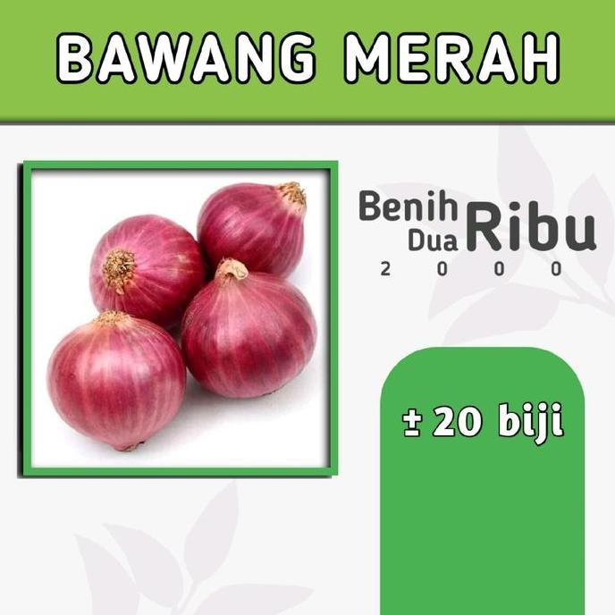 

Terlaris Benih Bawang Merah Bibit Biji Tanaman Sayuran Benih Dua Ribu