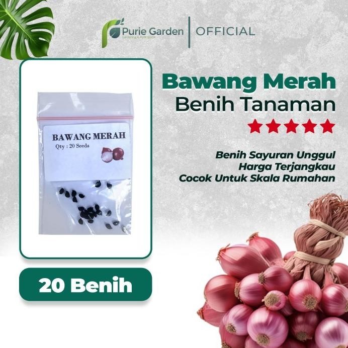 

Terlaris Ready Fresh Benih Bibit Bawang Merah 20 Benih Pg Sby