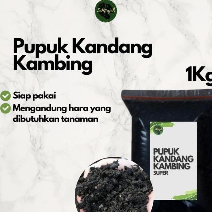 

Terlaris Pupuk Kandang Kambing Super 1Kg Halus Siap Pakai