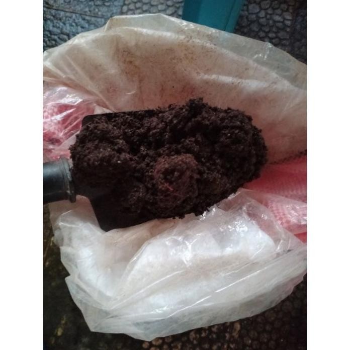 

Terlaris Pupuk Kandang Pupuk Tai / Kotoran Kambing Per Karung[Baca Deskripsi]