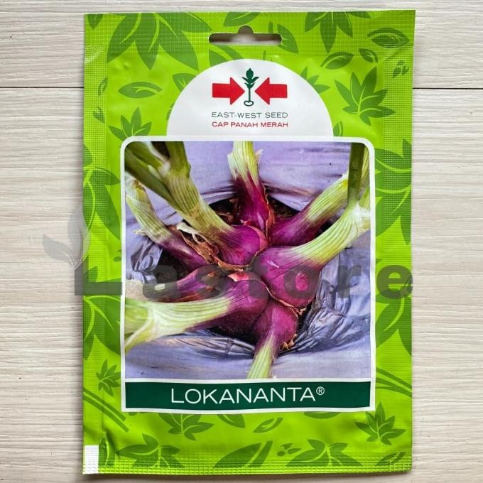 

Terlaris Terpopuler Benih Bibit Bawang Merah Lokananta Cap Panah Merah
