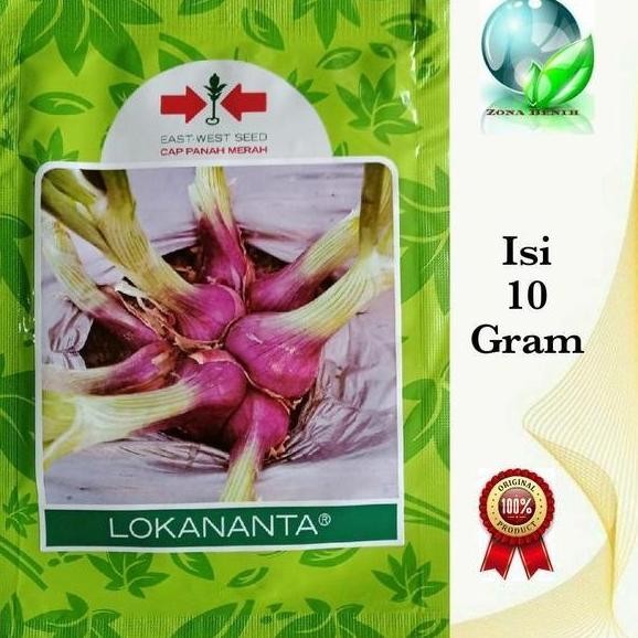 

Terlaris Benih Bawang Merah Unggul Lokananta Isi 10 Gr Bibit Bawang Merah