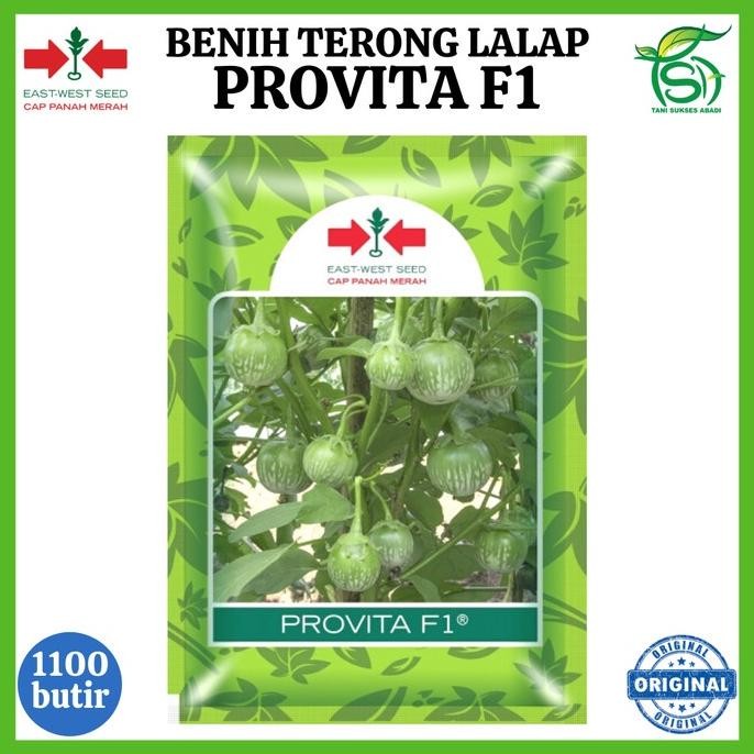 Benih Terong Lalap PROVITA F1 1100 Biji - Bibit Cap Panah Merah