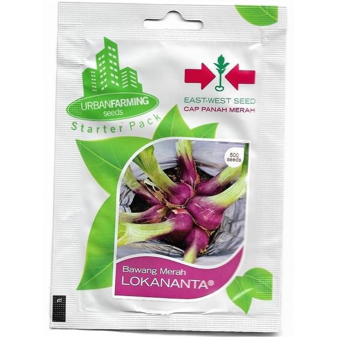 

Terlaris Bibit Bawang Merah / Bawang Merah Lokananta / Cap Panah Merah /