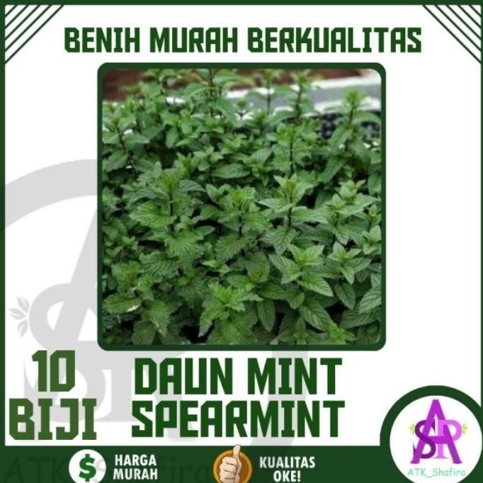 

Terlaris Trifarm Bibit Benih Daun Mint Spearmint 10 Biji Kemasan Ziplock
