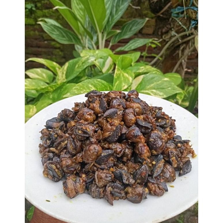 

KRENGSENGAN BEKICOT ( 02 ) BERAT 1/2 Kg nUg