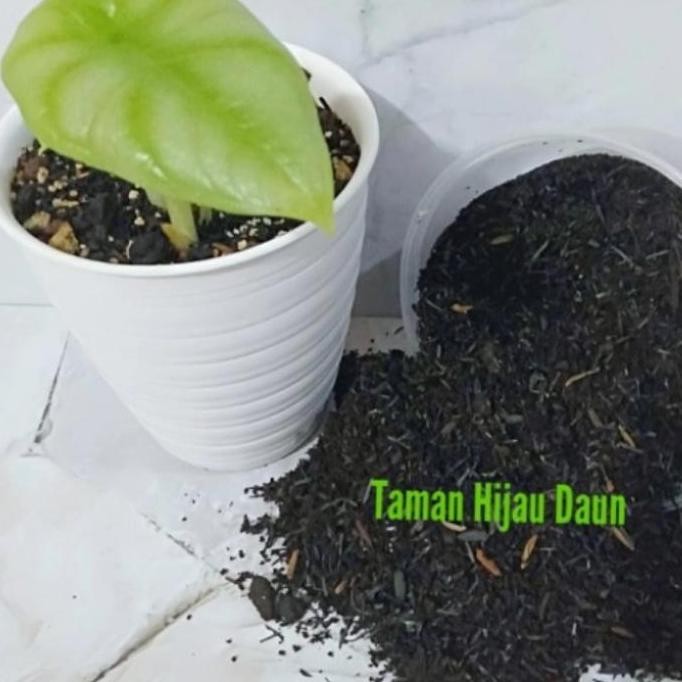 

Terlaris Terbaru Media Tanam Subur Mix Kompos Sekam Bakar Pupuk Kandang