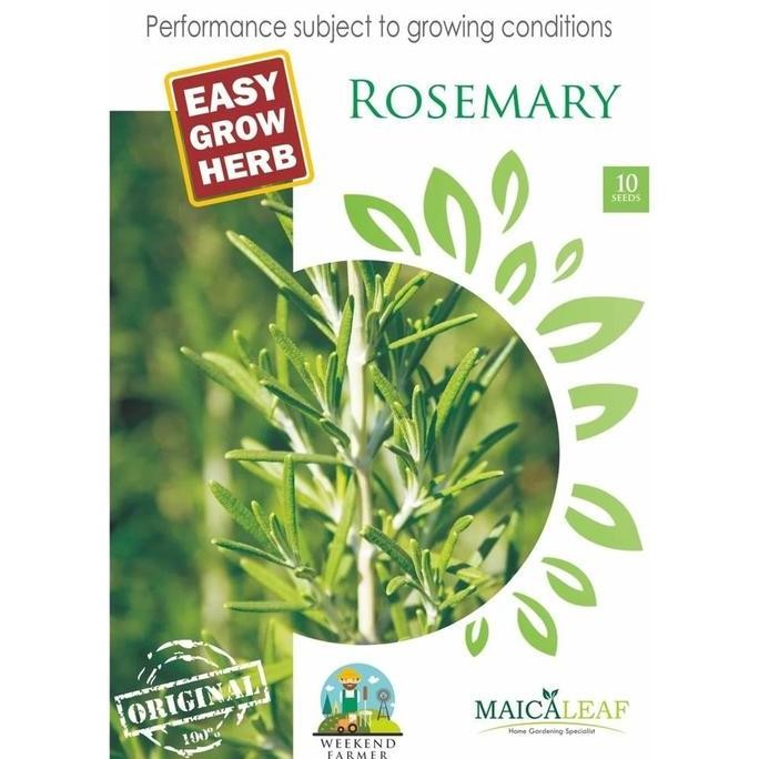 

Terlaris Terlaris Benih Rosemary Rempah Herbal/Bibit Rosemary Asli Isi10 Benih