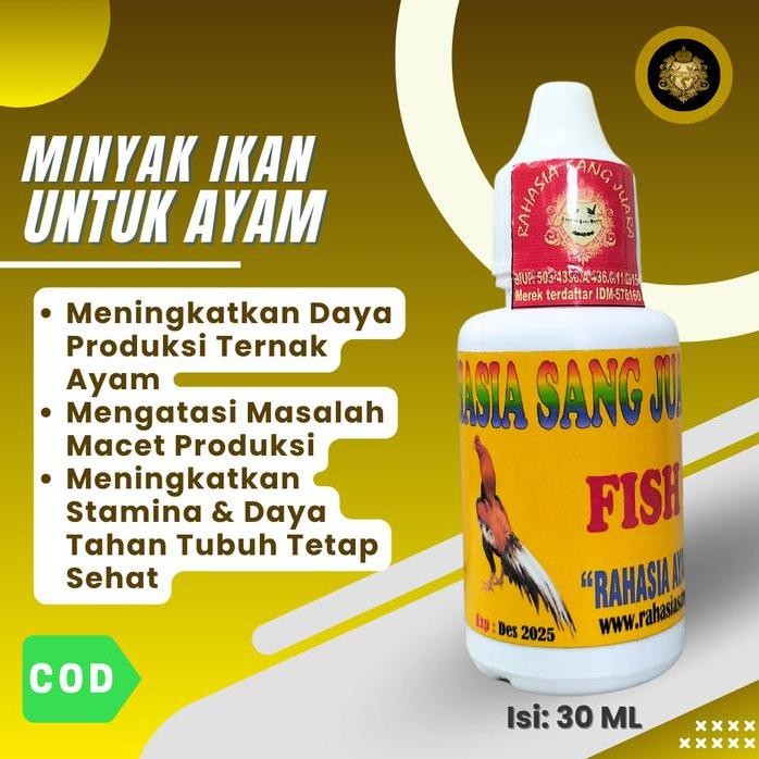 

Terlaris Minyak Ikan Untuk Ayam Bangkok Aduan Laga Vitamin Ayam Ternak