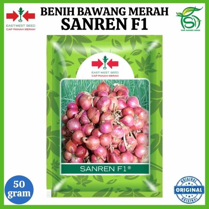 

Terlaris Benih Bawang Merah Sanren F1 (50 Gram) - Bibit Cap Panah Merah 50 Gr