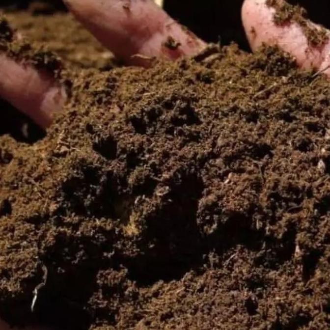 

Terlaris Pupuk Kandang Sapi Organik Pak Tani 1 Karung // Maximal Order 1 Karung
