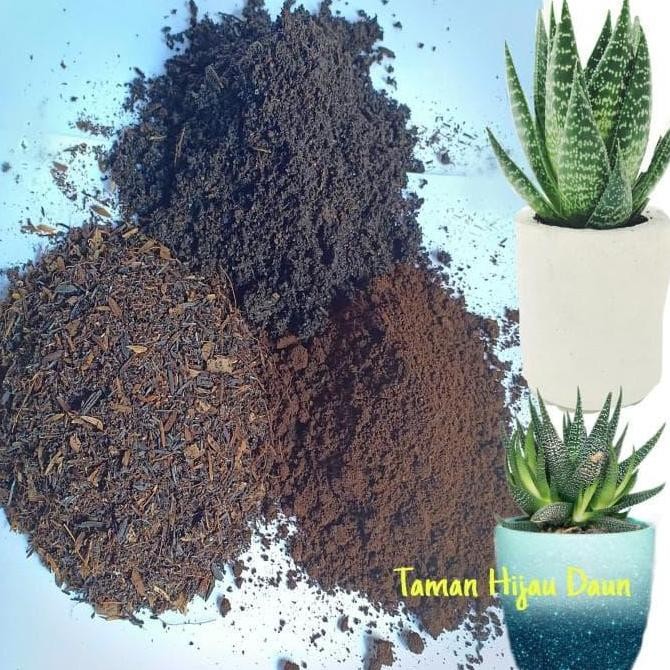 

Terlaris Ready Stok Paket Media Tanam Kompos Tanah Lembang Dan Pupuk Kandang