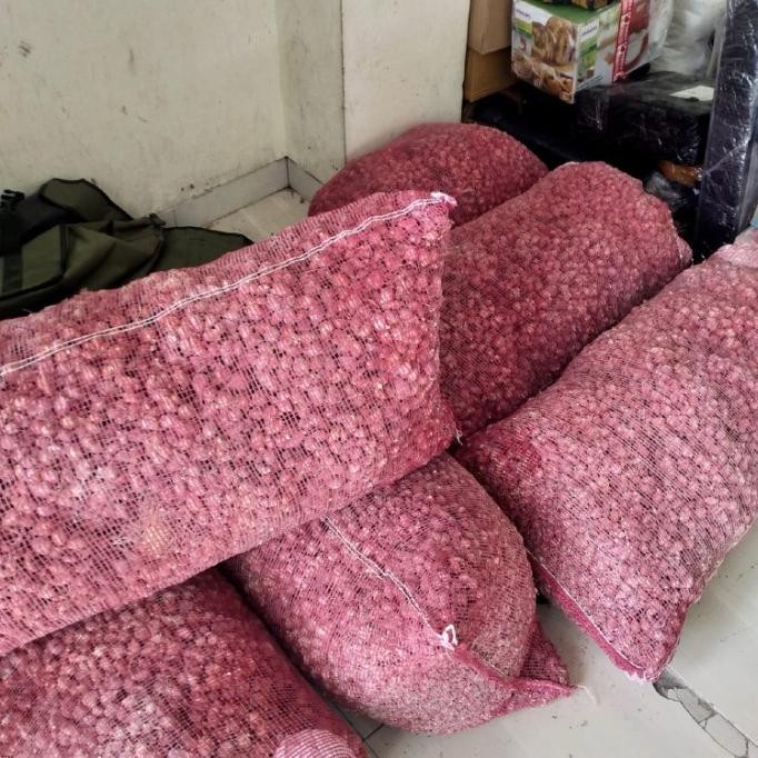 

Terlaris Bibit Bawang Merah Tajuk Siap Tanam 30Kg