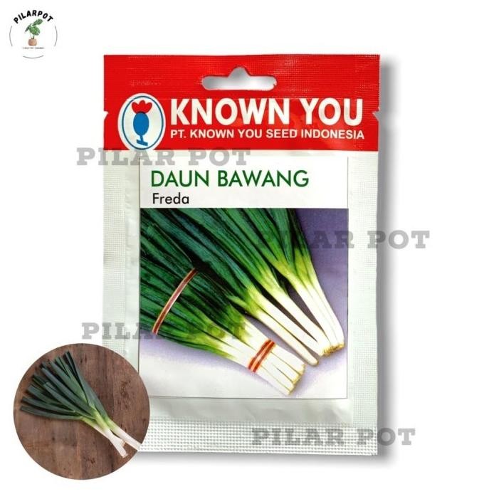 

Terlaris Ready Fresh Benih Bibit Daun Bawang Freda Known You Seed - Kys Freda Kemasan Merah