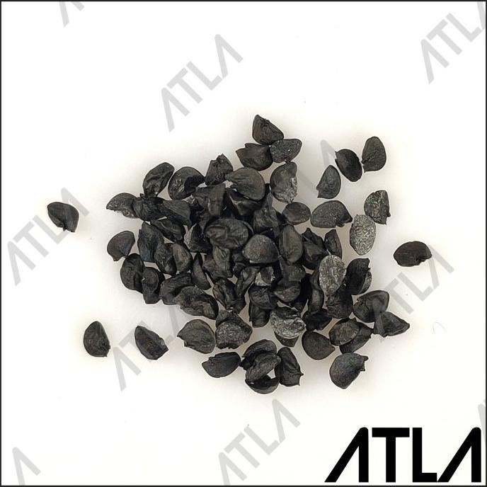 

Terlaris Murah Benih Bawang Merah Biji Bibit Tanaman Sayur Hidroponik Refill