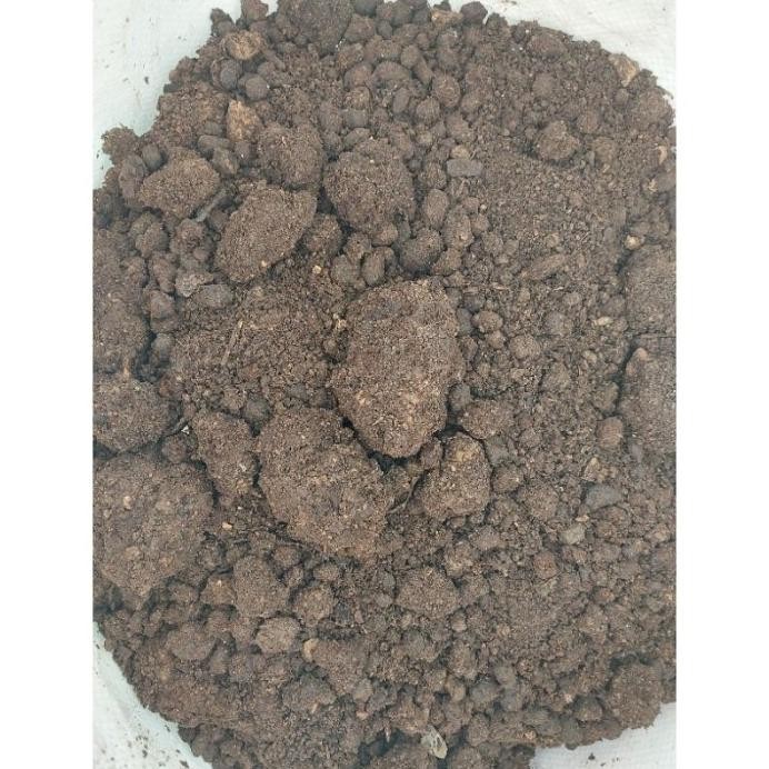 

Terlaris Pupuk Kandang Kohe Kambing Siap Pakai Karungan